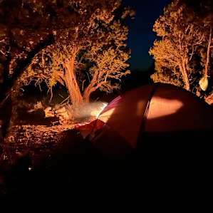 Grand Canyon Unplugged