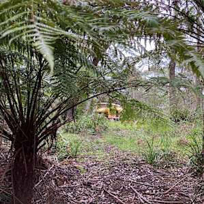 Tropical surrounds