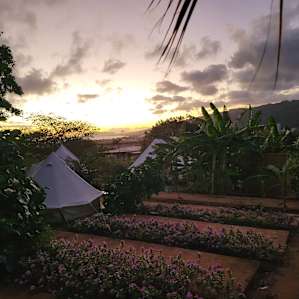 Medium Double 'Maui' Yurt