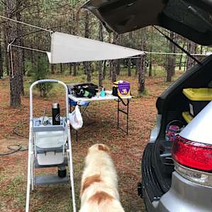 He wanted to load up. I told him no and then he sat and waited for bacon.