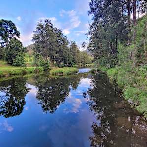 The property is surrounded by natural bushland & national park, so the water quality in this part of the river is excellent.