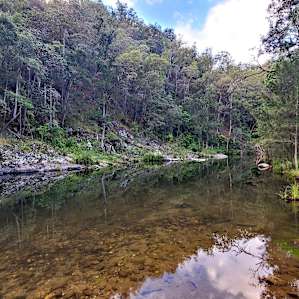 Darkwood River Flats