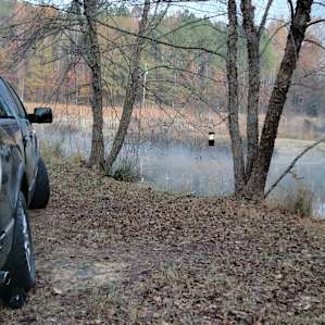 Wooded Camping & Stocked Pond