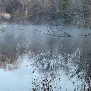 Wooded Camping & Stocked Pond