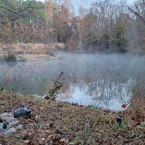Wooded Camping & Stocked Pond