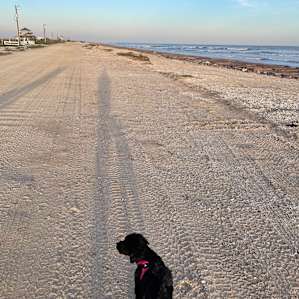 The beach is so close and beautiful!
