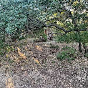 Woodland Charm Primitive Camping