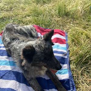 Creek & River Bush Camping (4WD)