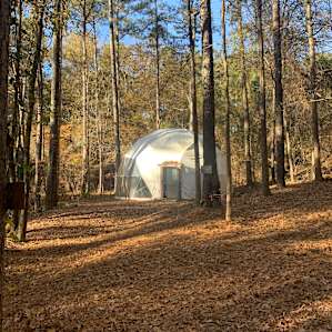 Forest Dome with Hanging Bed!
