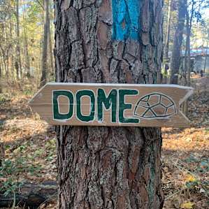 Forest Dome with Hanging Bed!