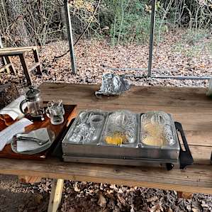 Forested Campsite on a Working Farm