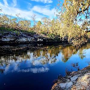 Suwannee River Glamping