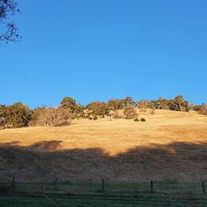 Kangaroo Gully