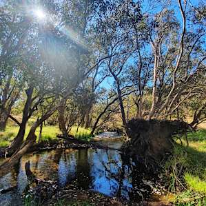 Kangaroo Gully