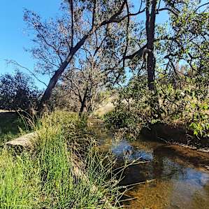 Kangaroo Gully
