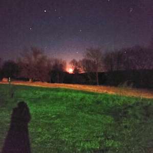 Tiny Lumber Jack + Private 25 Acres