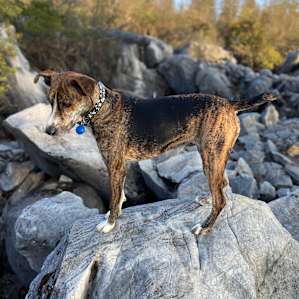 Squirrel Rock RV Campground-Single