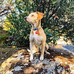 Squirrel Rock RV Campground-Single