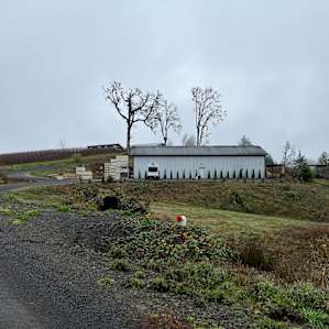 Vineyard by day, Stars at night!