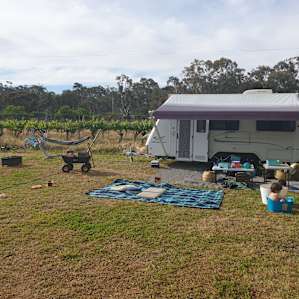 The Paddocks