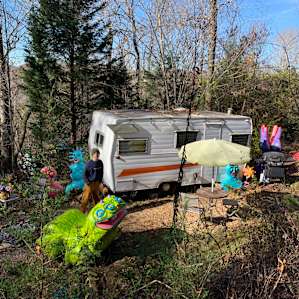 Creature Camp