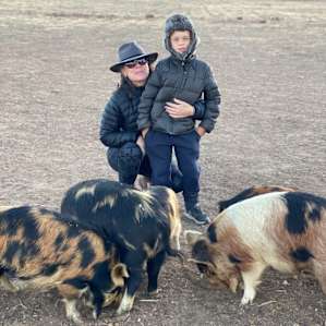 Meet & greet w the super friendly pigs.