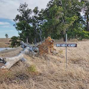 Bush Camp