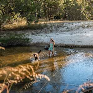 dog river water