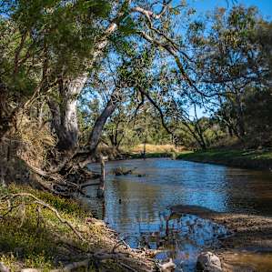 Moore River Camping: Exclusive