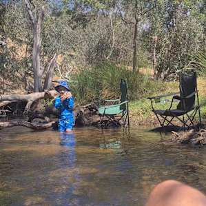 Frog Gully
