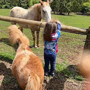 Ferndale Farm
