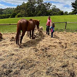 Ferndale Farm