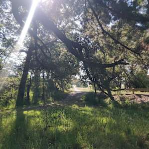 Great shady campsite