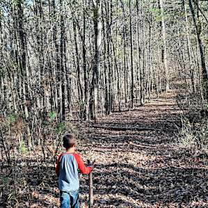 Into the WYLD Campgrounds