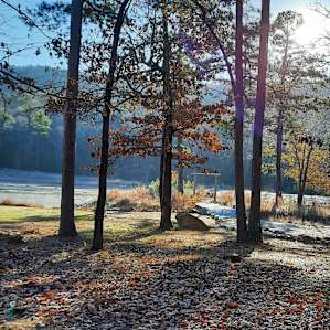 Into the WYLD Campgrounds
