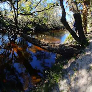 Sandy Bottom River Retreat