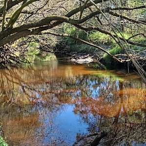 Sandy Bottom River Retreat