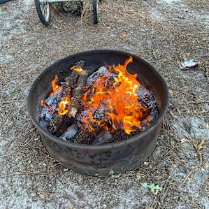 Family Farm - Wooded campsites