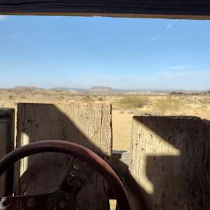 View from the potty