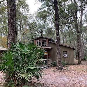 Treehouse Cabin Retreat