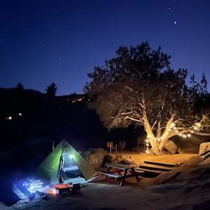 Juniper Shade