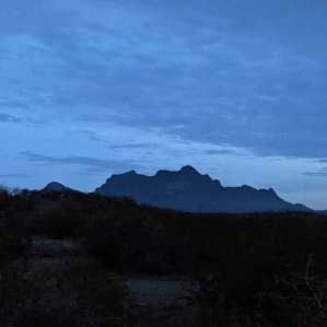Besitos Del Sol Chihuahuan Desert