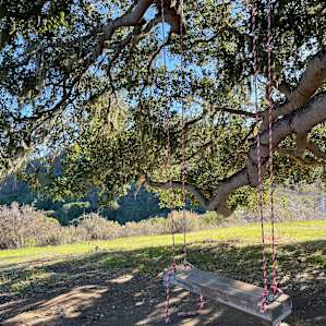 The kids loved the swing!