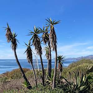Private Beach Farm