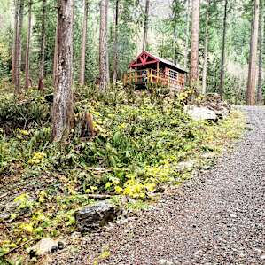 View of cabin from the creek