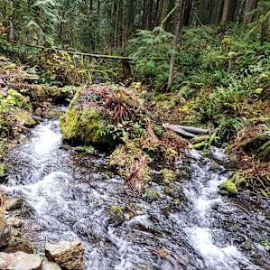 This beautiful creek just a minute walks from the cabin.