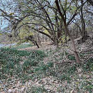 Big Rocks on the Brazos
