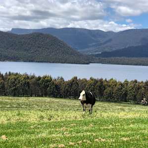 Hilltop Farm Hideaway (4WD)