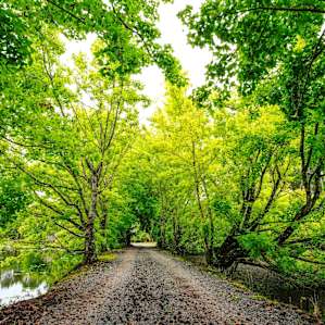 enjoy a walk around the Lake along this stunning track