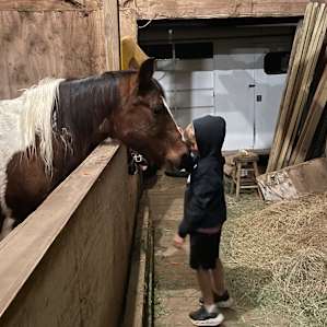 Happy Horse Camping, Cabin, and RV